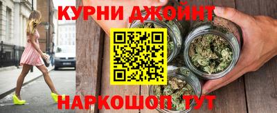 сатива Коммунар