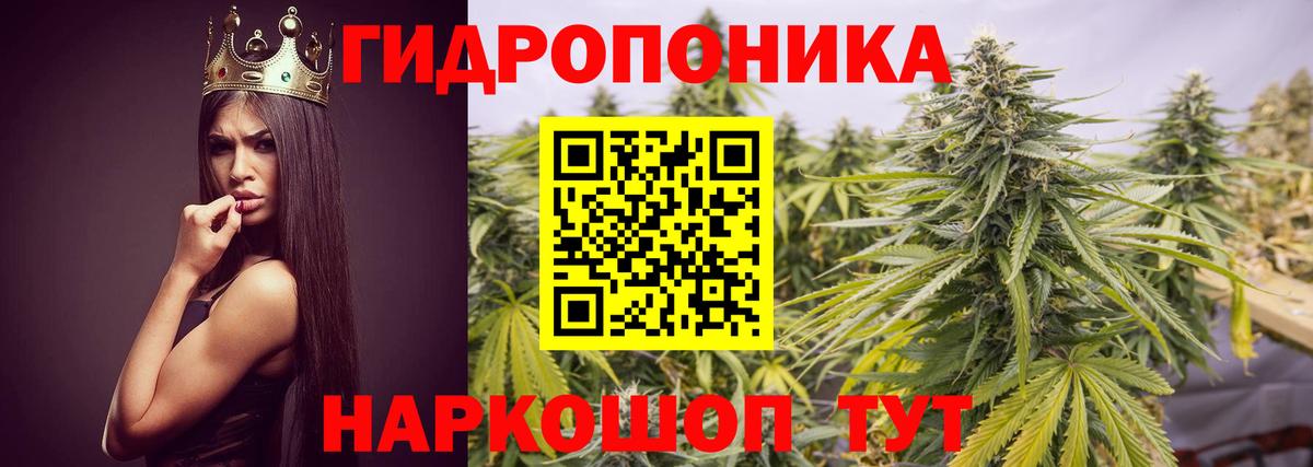 Конопля семена Клин